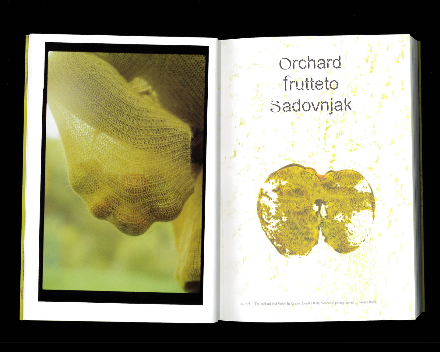 Robida Magazine Issue 11 - orchard frutteto sadovnjak
