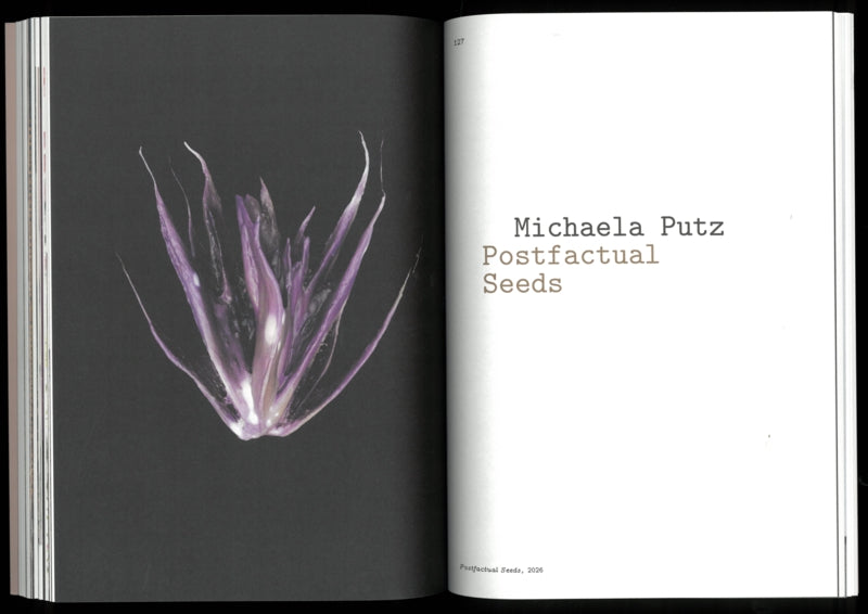 Seeds Reclaiming Roots, Sowing Futures