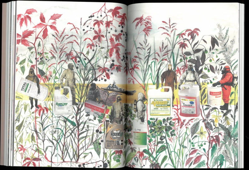 Seeds Reclaiming Roots, Sowing Futures
