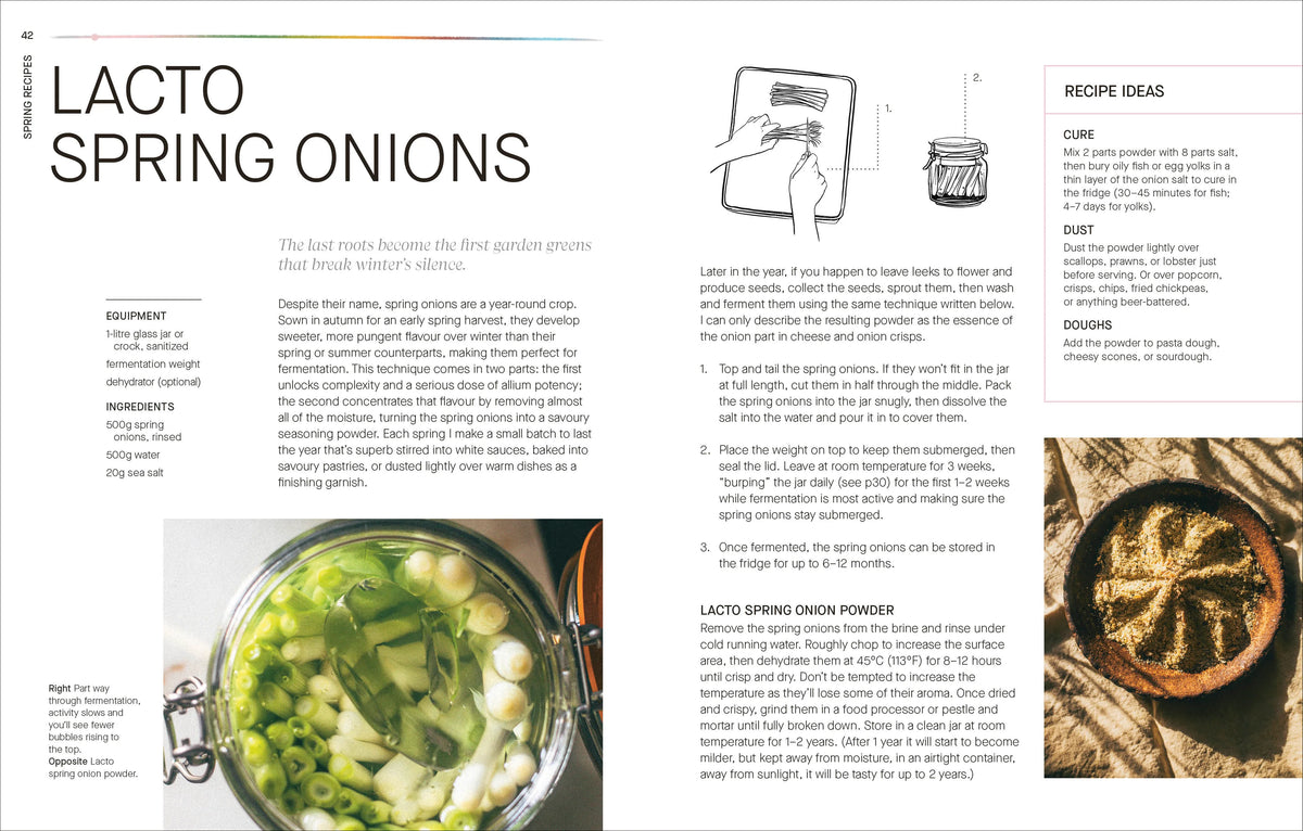 A Year of Fermentation. A Seasonal Guide to the Art & Science of Fermentation.