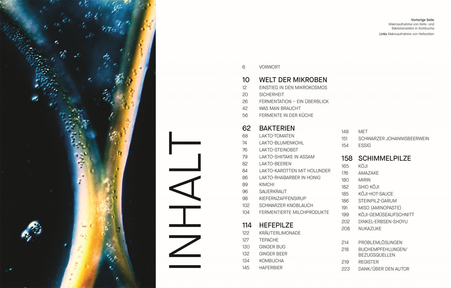 Fermentieren. Rezepte und Techniken für Geschmack, den man nicht kaufen kann.