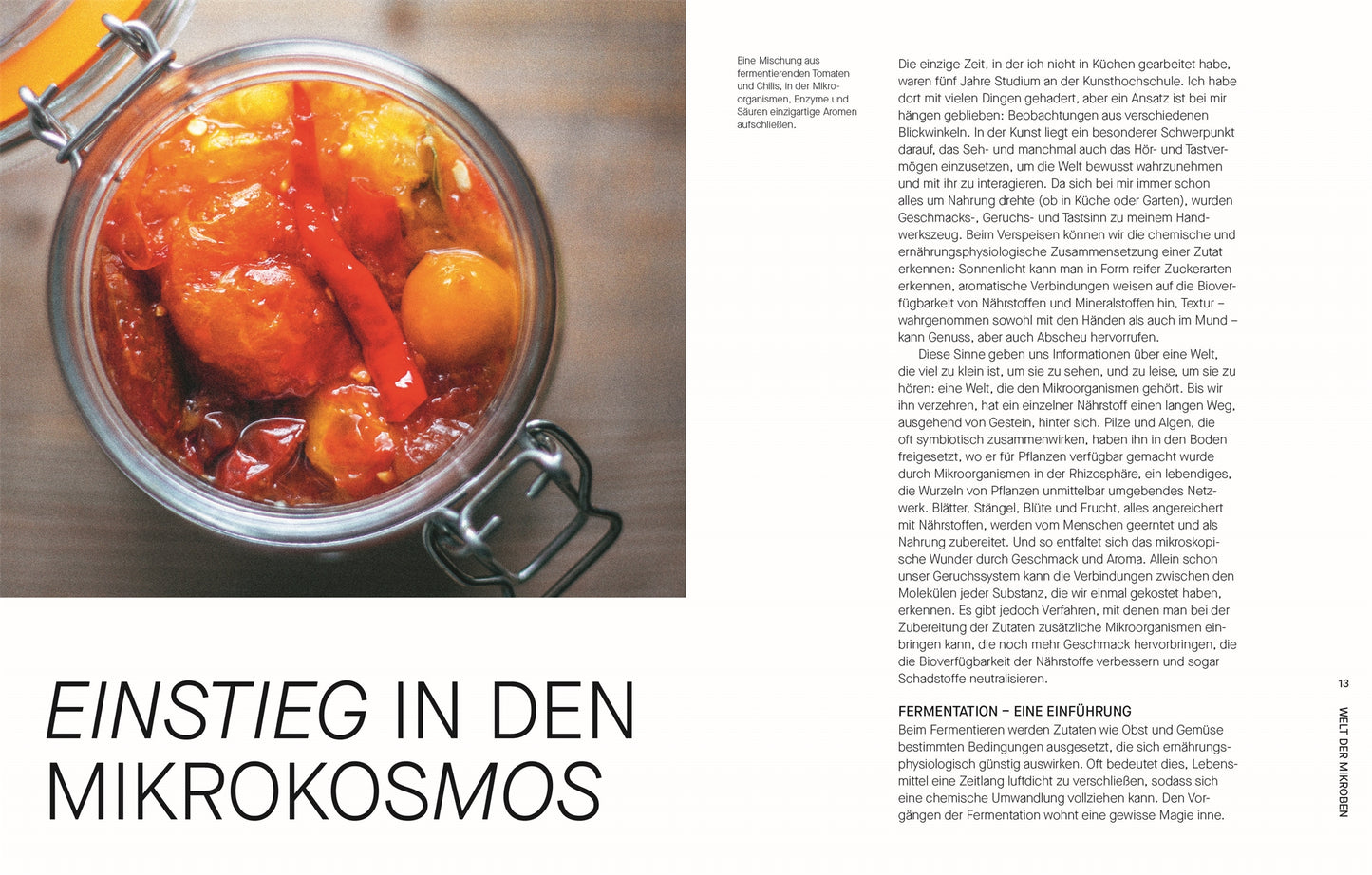 Fermentieren. Rezepte und Techniken für Geschmack, den man nicht kaufen kann.