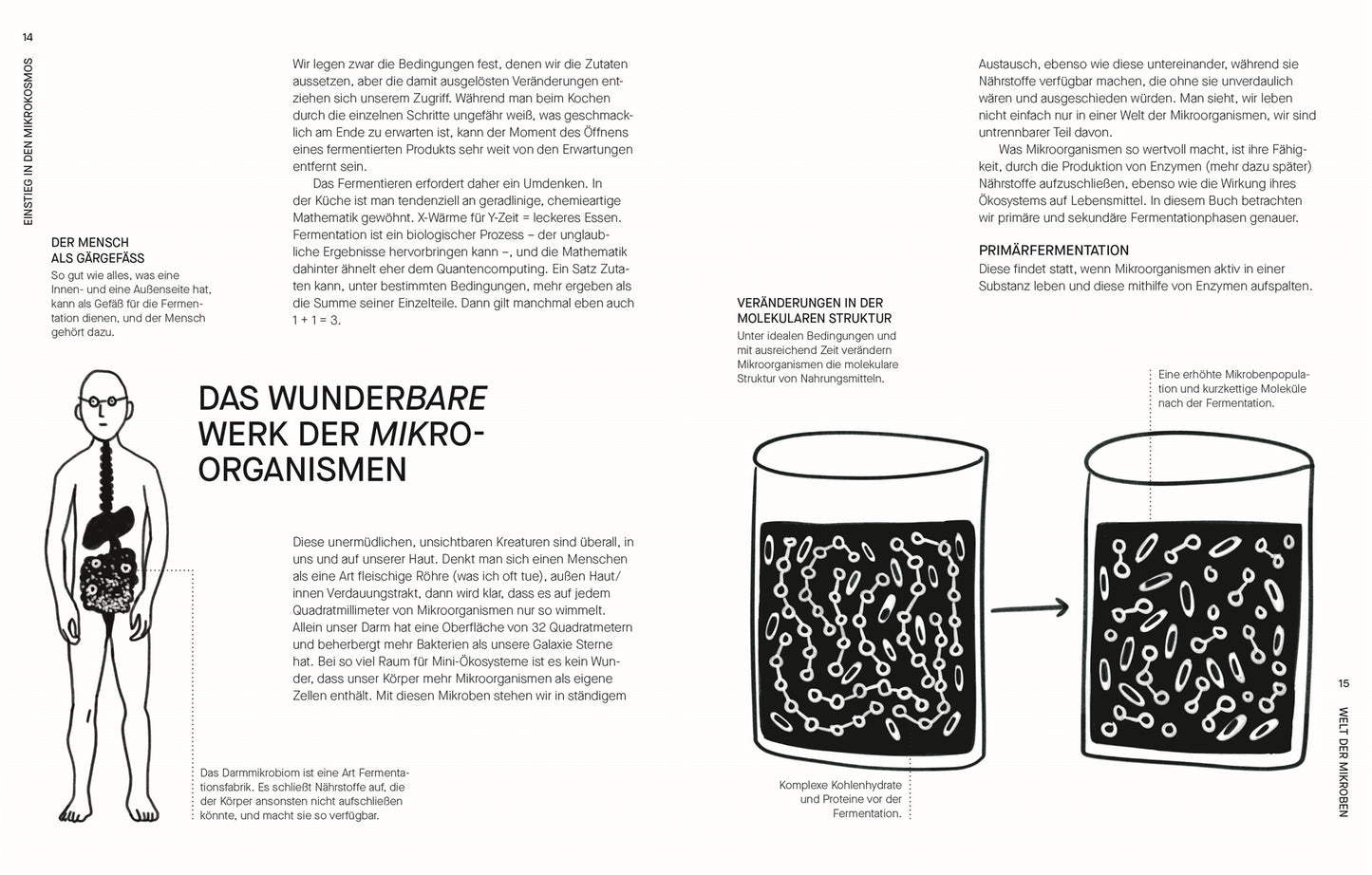 Fermentieren. Rezepte und Techniken für Geschmack, den man nicht kaufen kann.