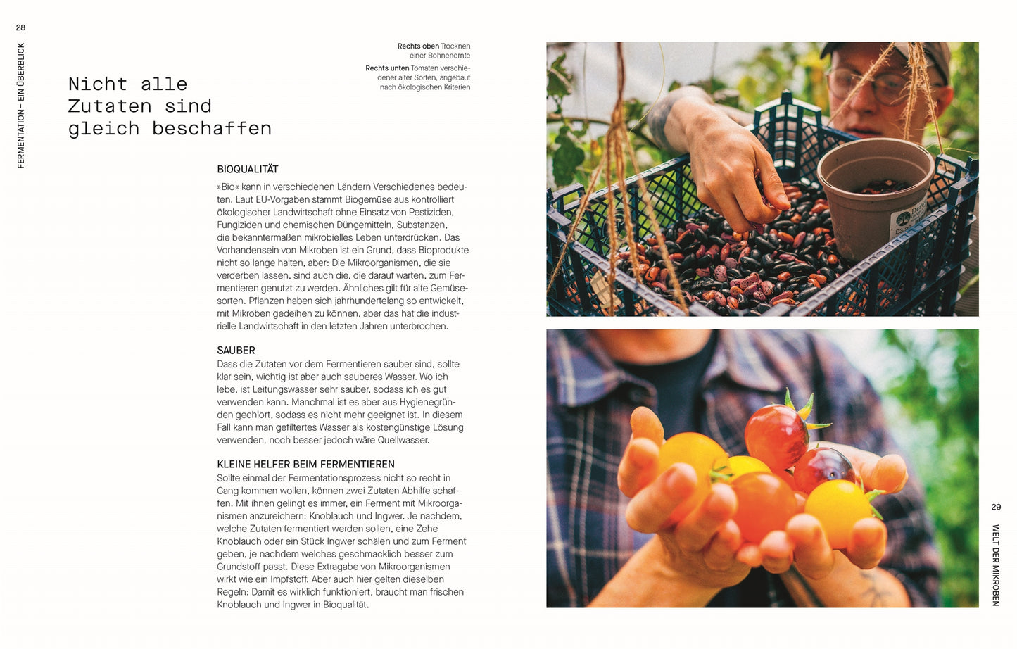 Fermentieren. Rezepte und Techniken für Geschmack, den man nicht kaufen kann.