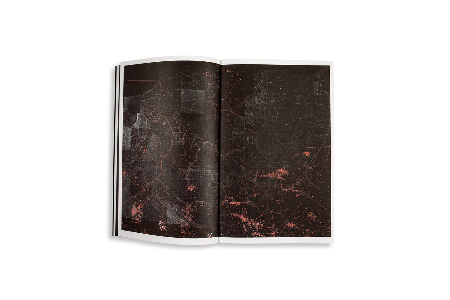 Fieldwork for Future Ecologies - Radical practice for art and art-based research