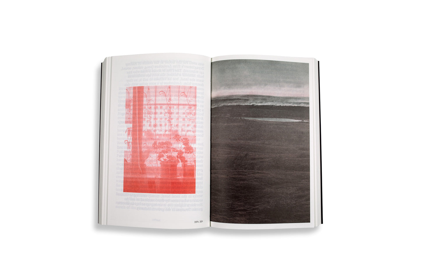 Fieldwork for Future Ecologies - Radical practice for art and art-based research