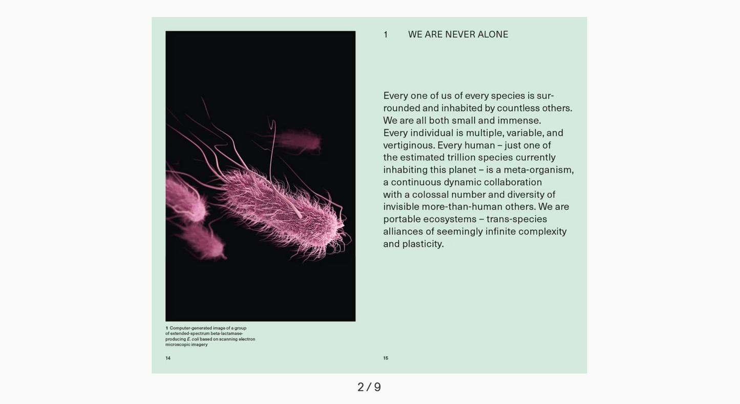 We the Bacteria. Notes Toward Biotic Architecture