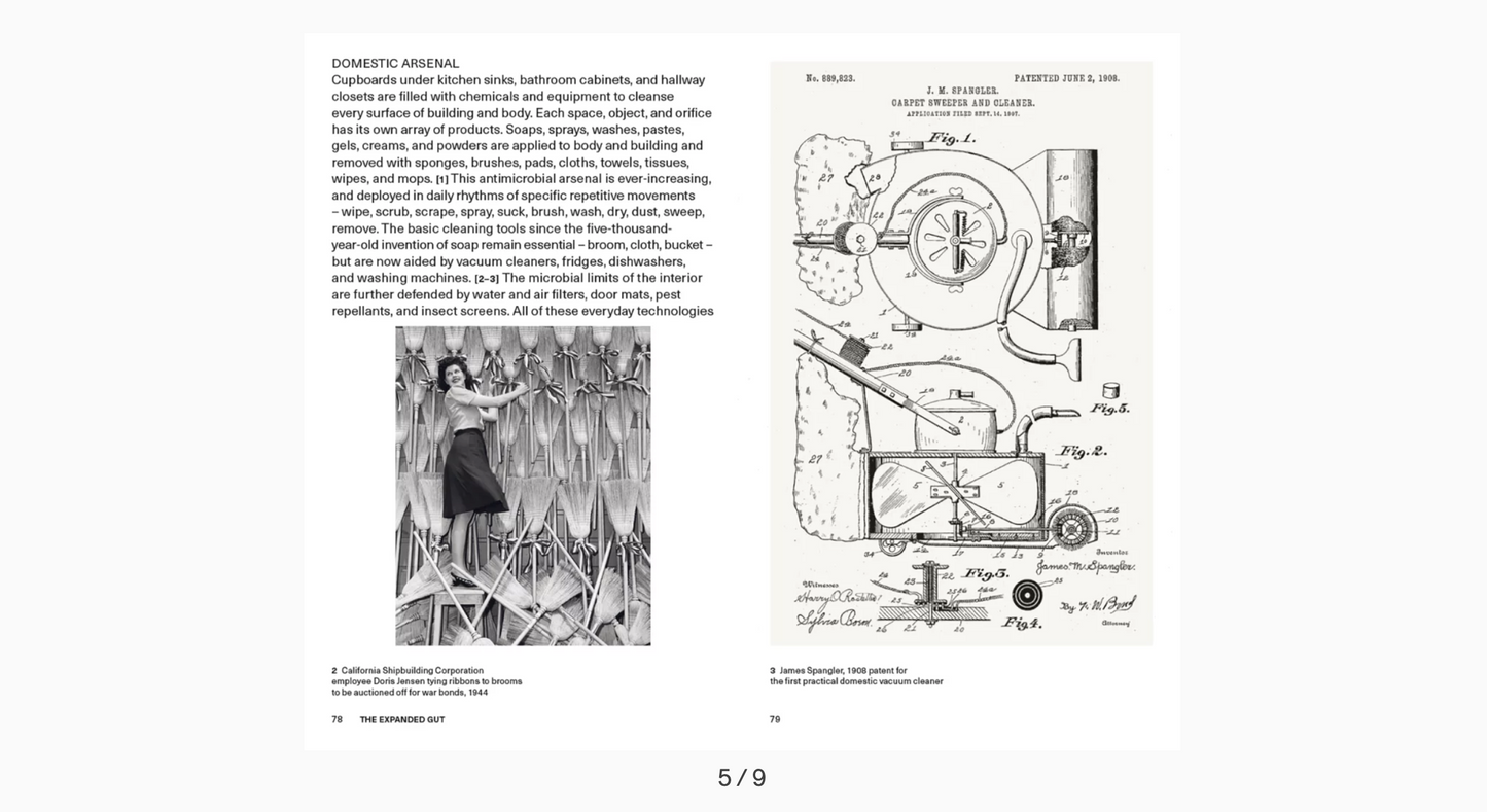 We the Bacteria. Notes Toward Biotic Architecture