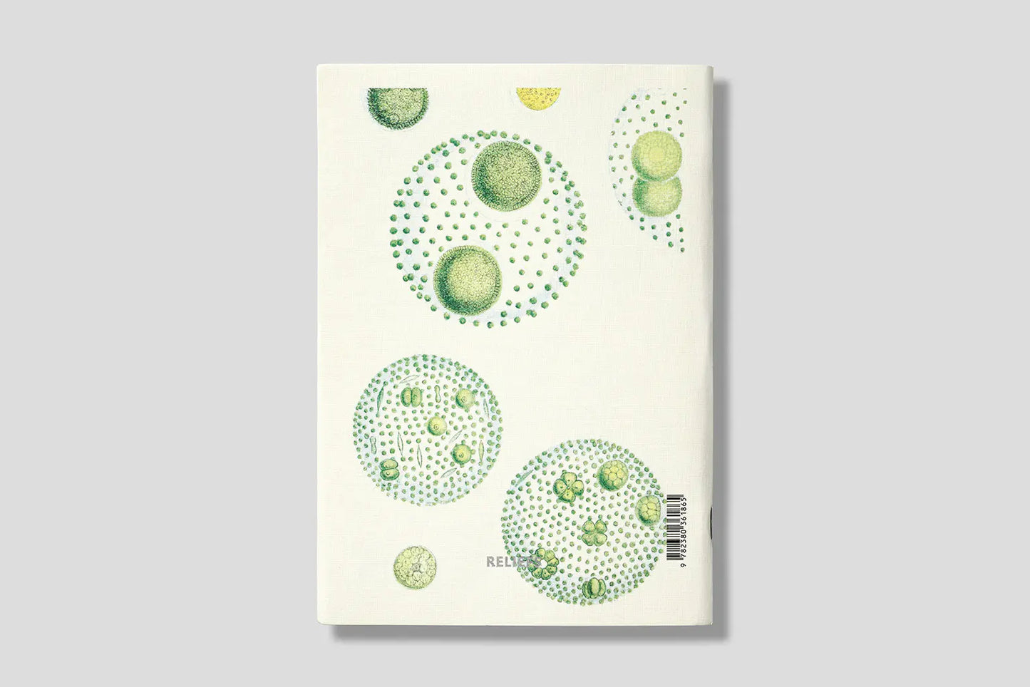 Notizbuch Reliefs - Freshwater algae