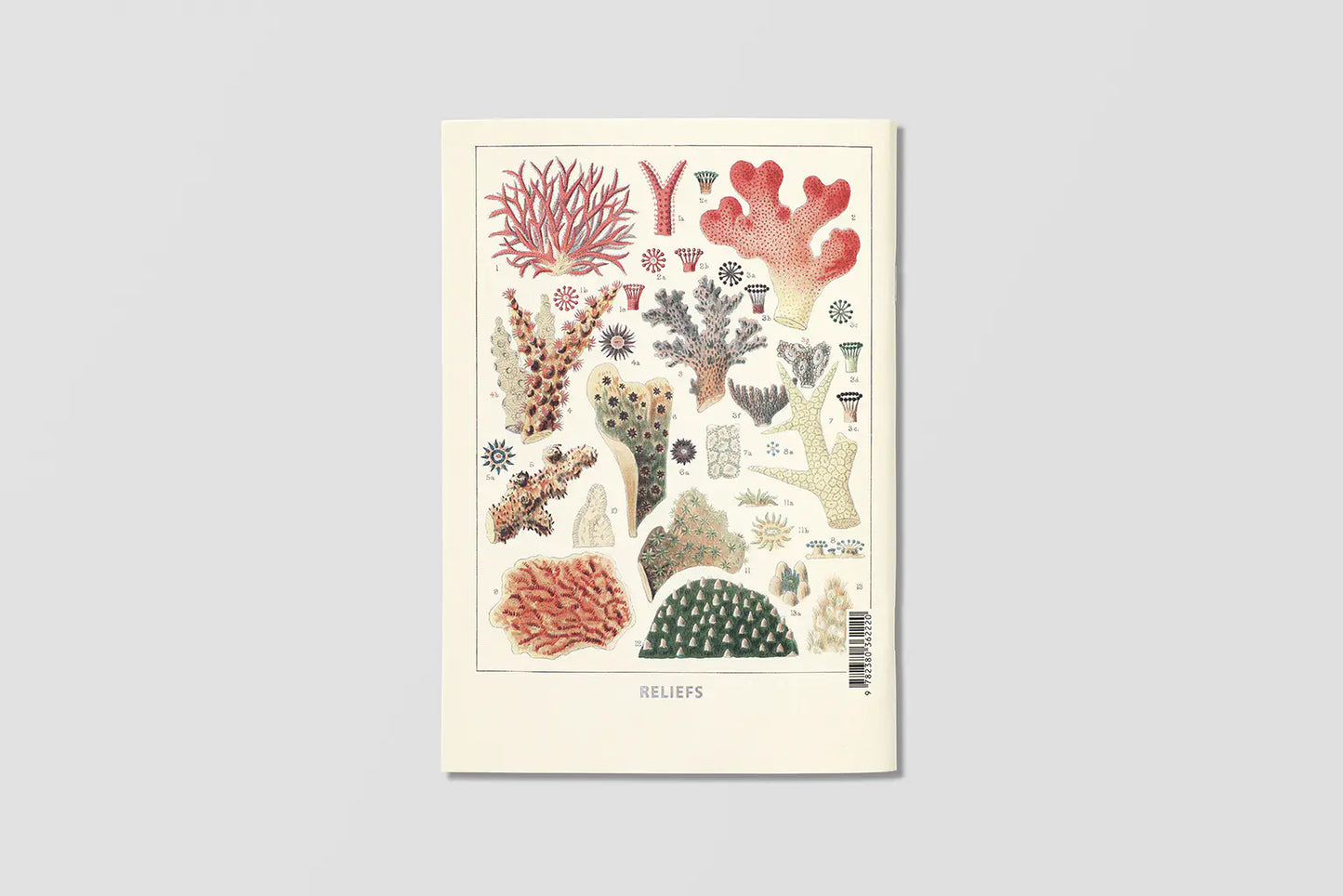 Notizbuch Reliefs - The Great Barrier Reef