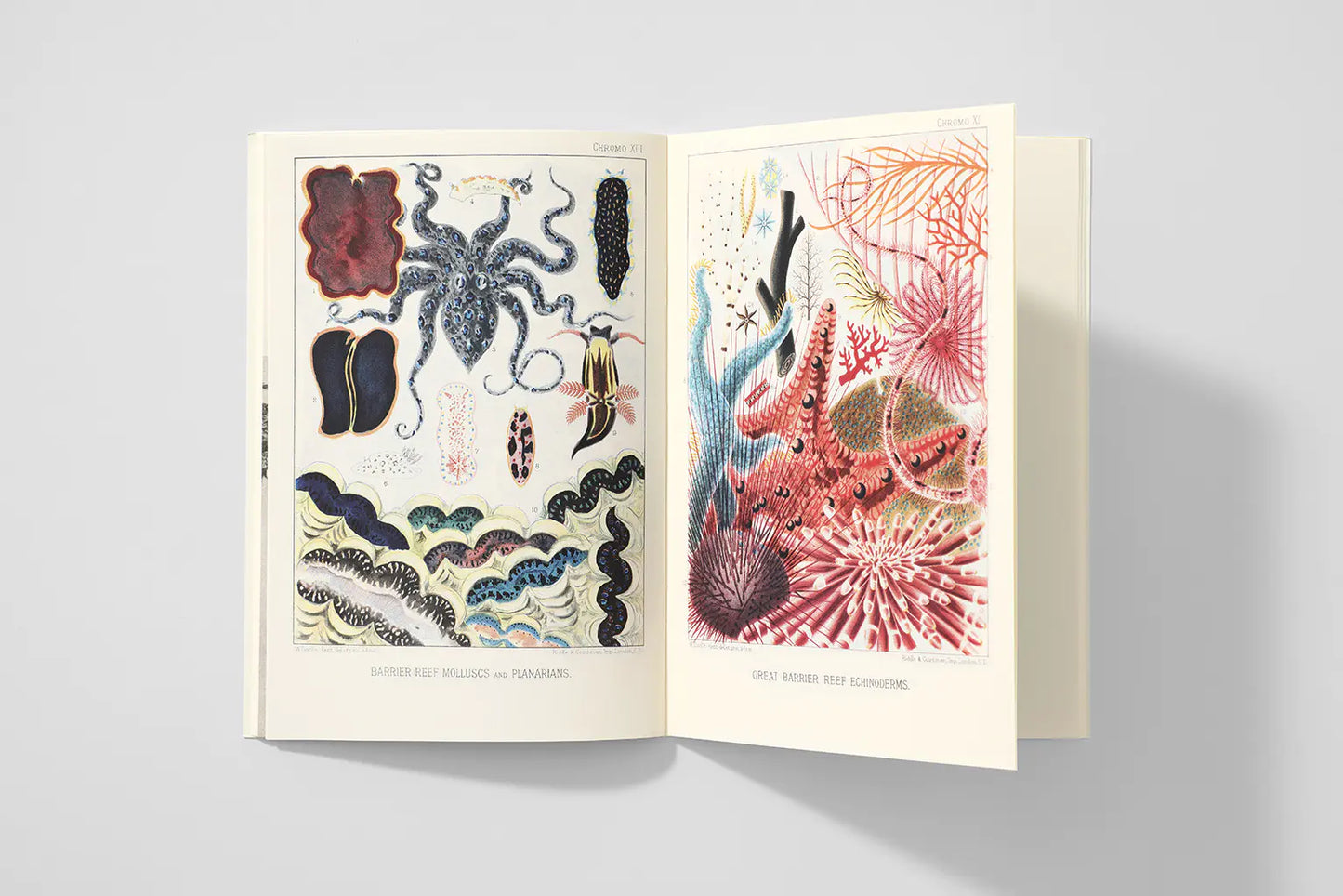 Notizbuch Reliefs - The Great Barrier Reef