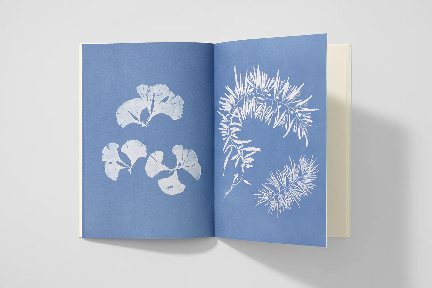 Notizbuch Reliefs - Sea Algae Cyanotype