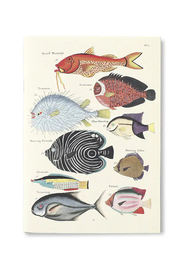 Notizbuch Reliefs - Fishes and Crabs