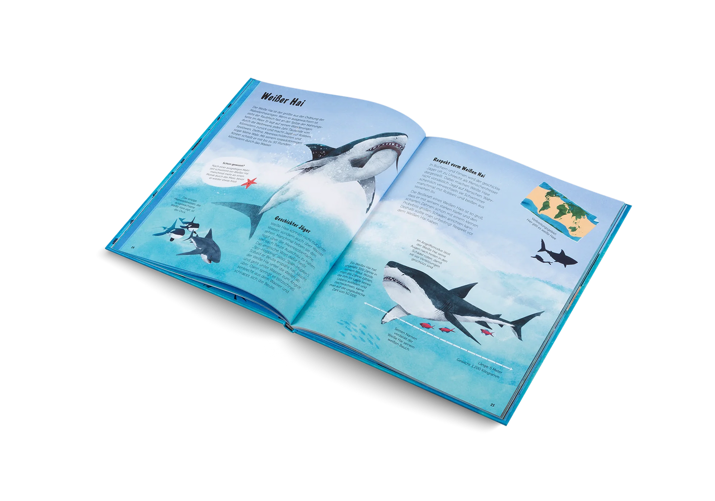 Die Welt der Haie