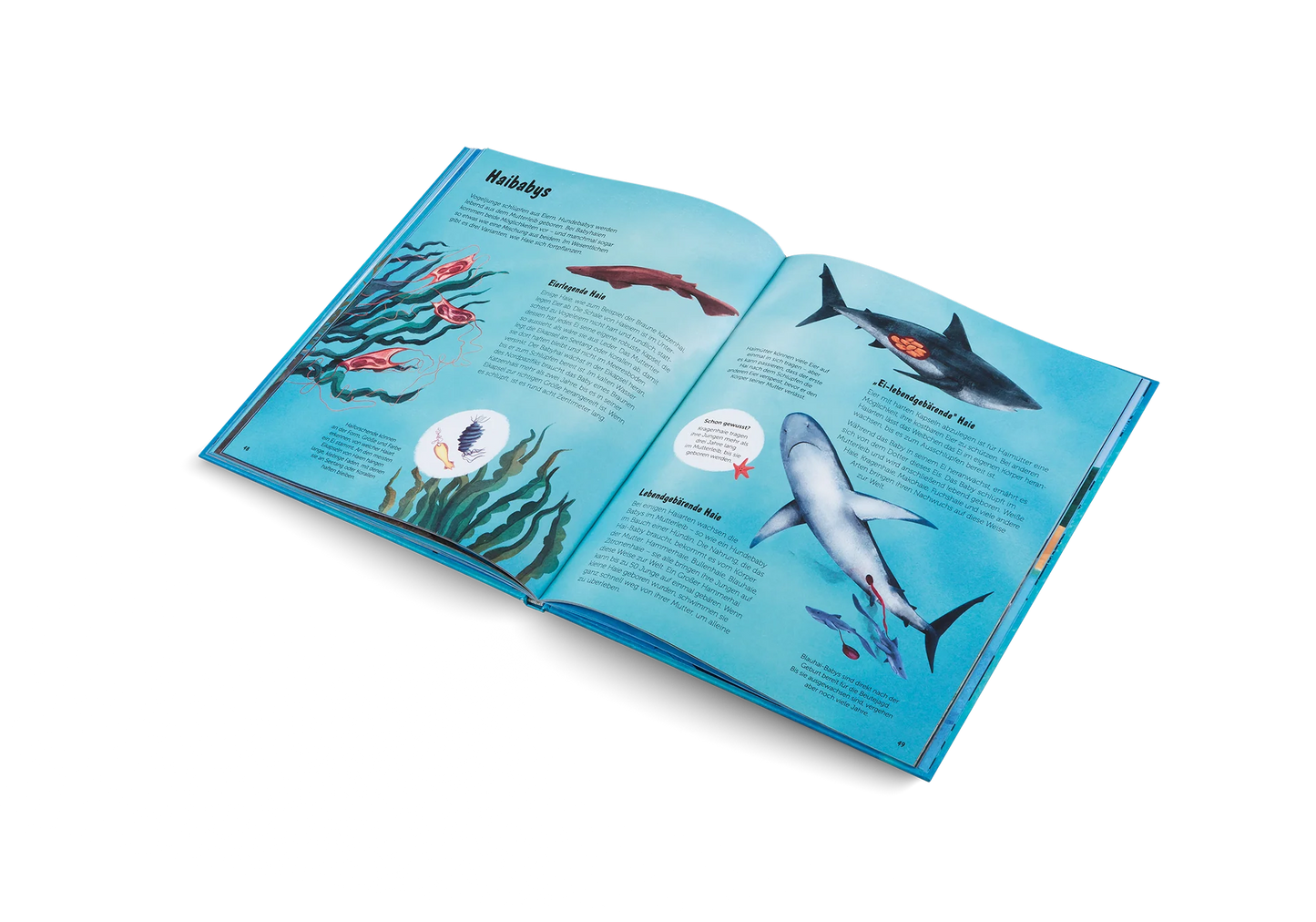Die Welt der Haie