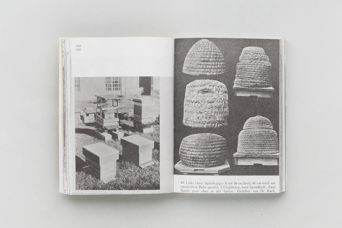 HIVES, 2400 B.C.E. – 1852 C.E. - New Edition