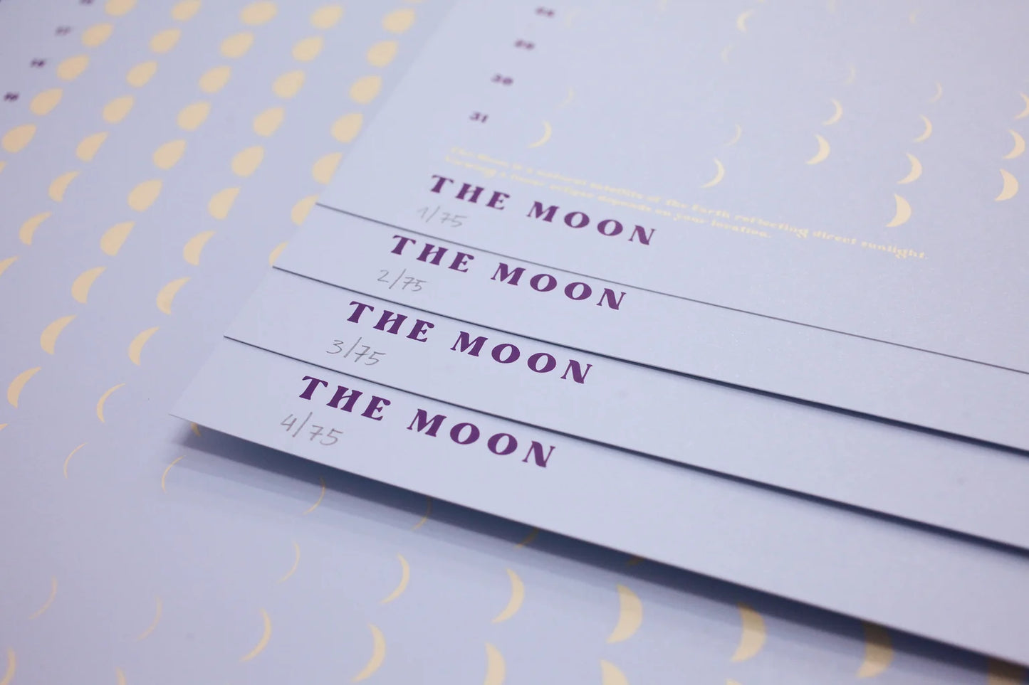 THE MOON Calendar 2025 – Blue - Ghost Dog Pigeon Edition