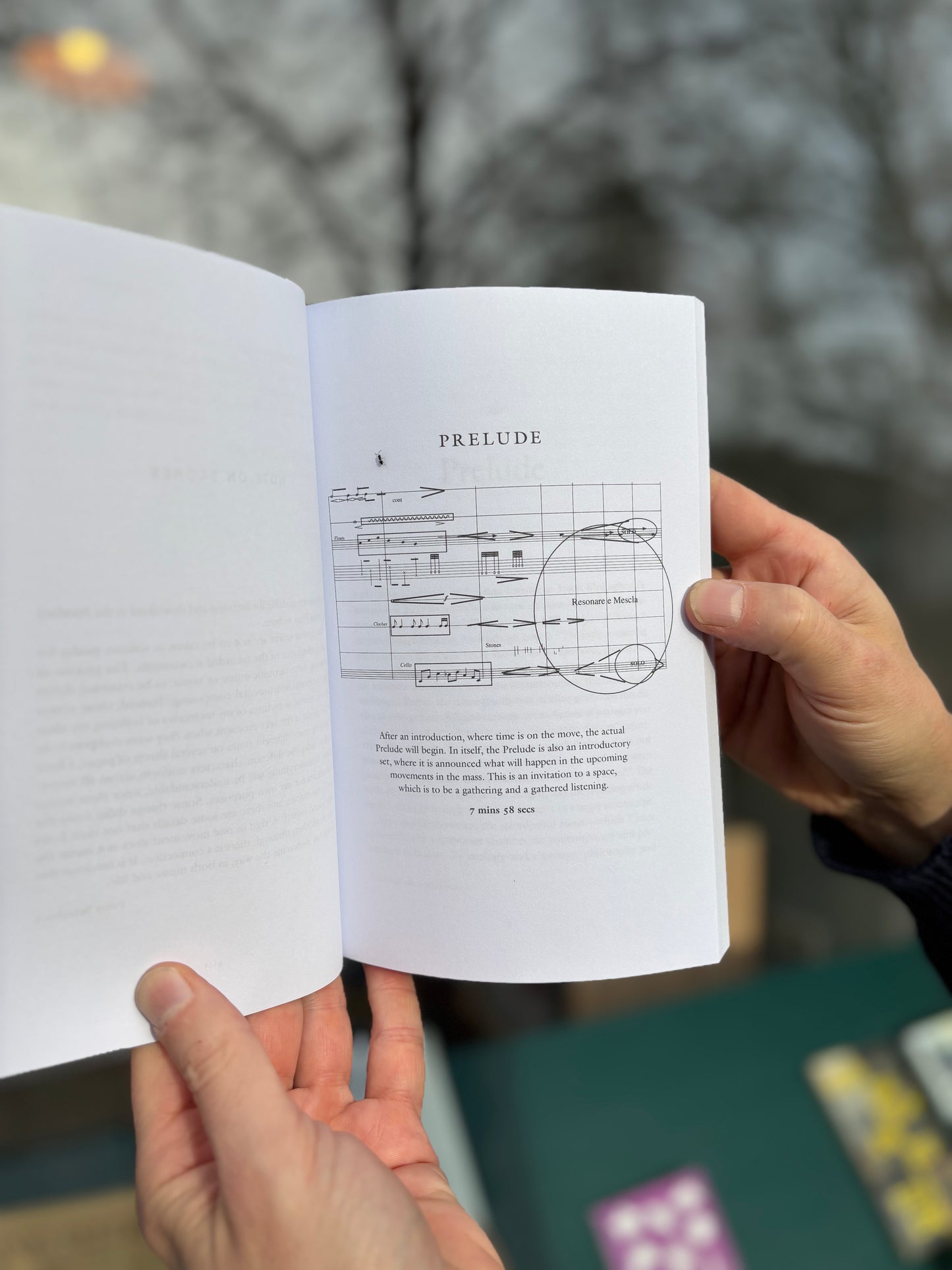 Green Mass - The Ecological Theology of St. Hildegard of Bingen