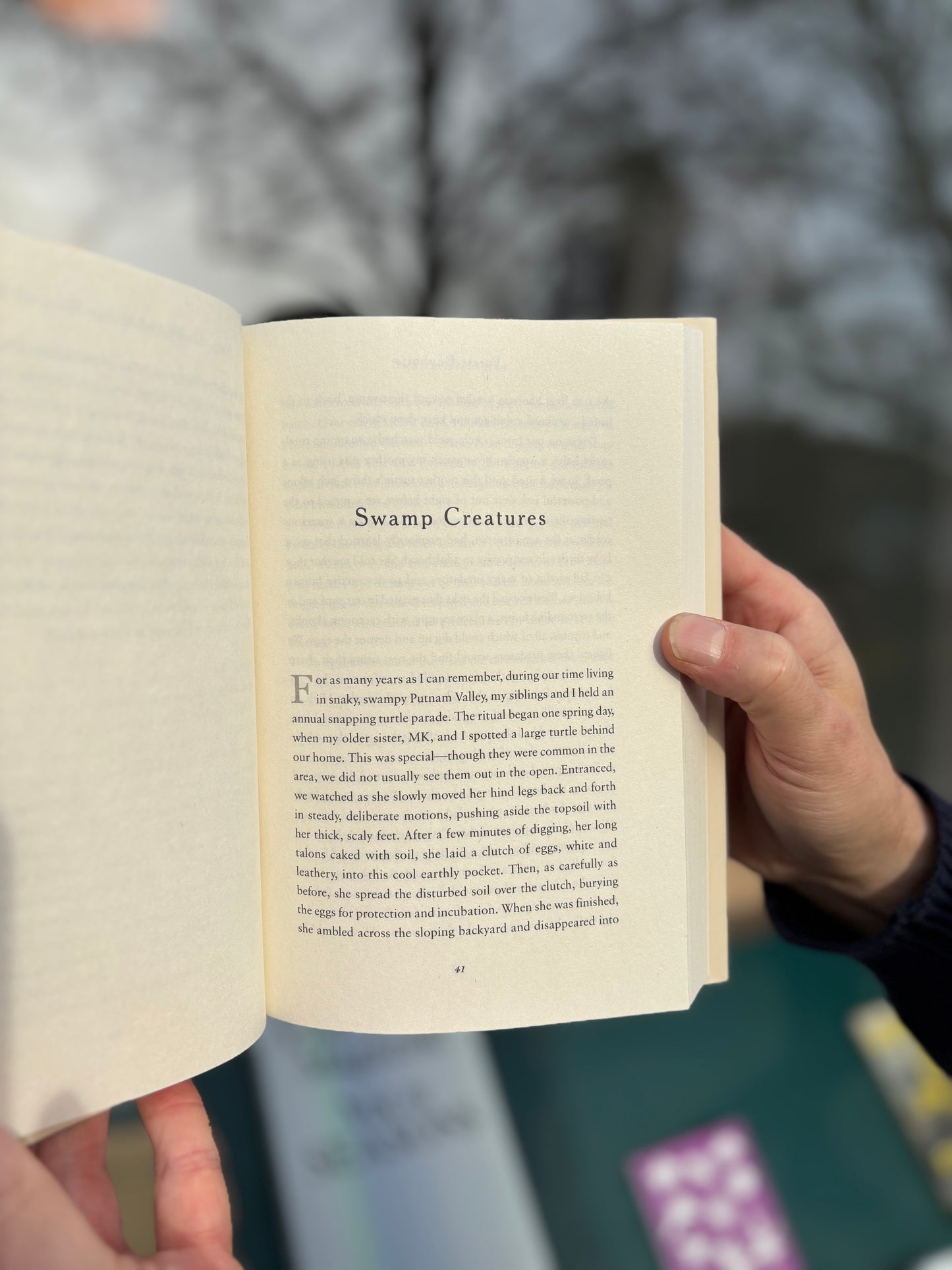 Forest Euphoria - The Abounding Queerness of Nature