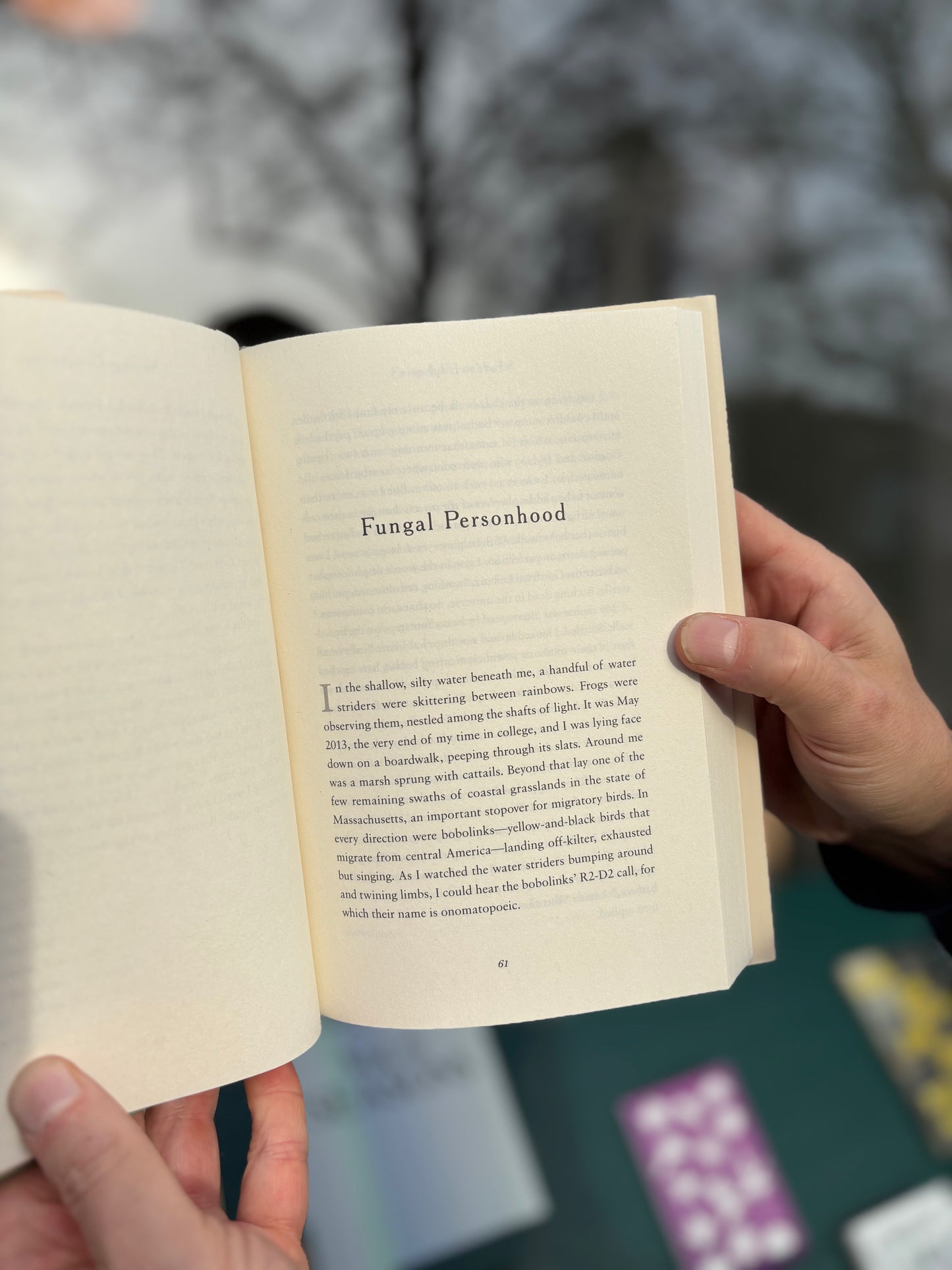 Forest Euphoria - The Abounding Queerness of Nature