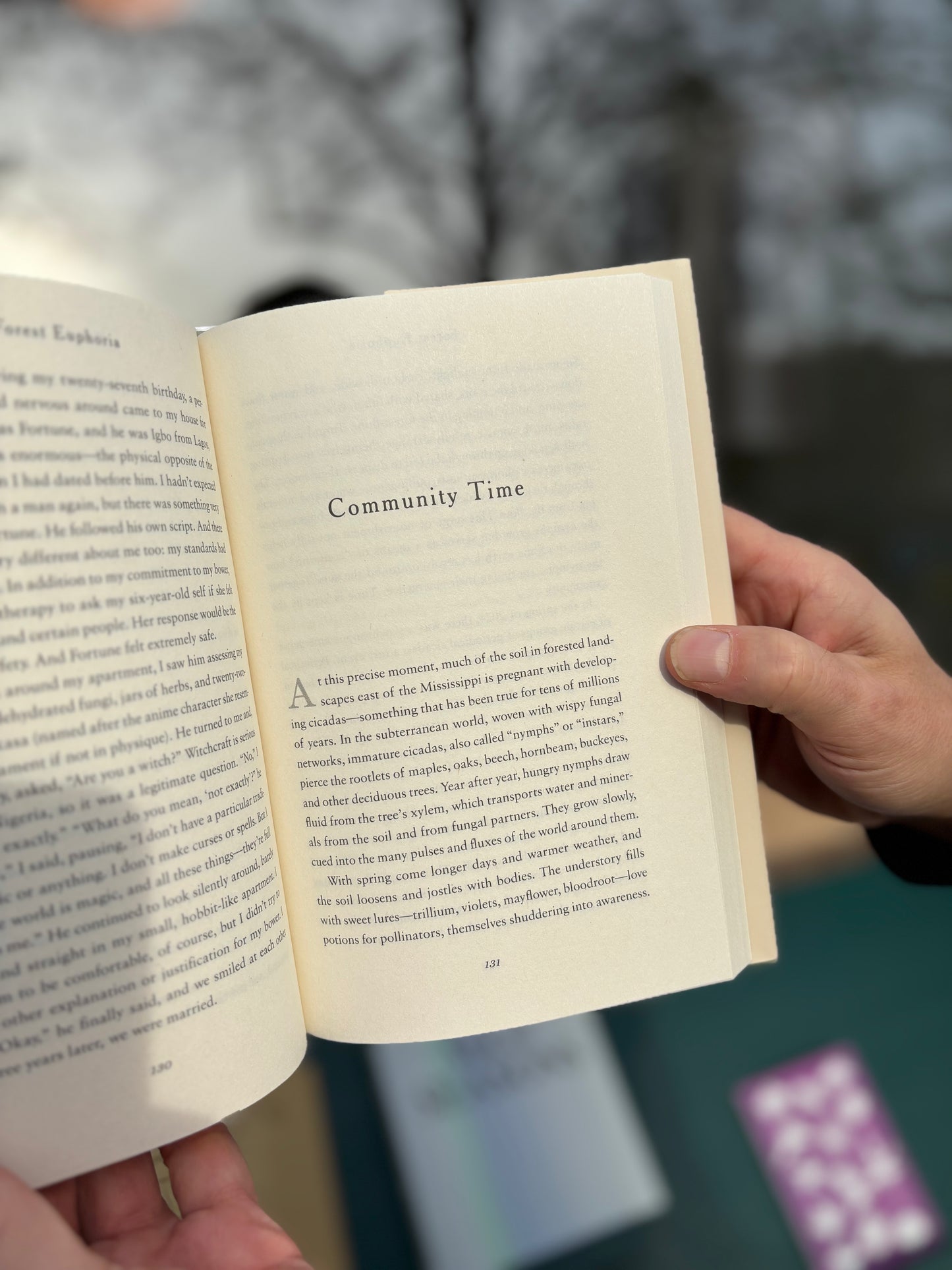 Forest Euphoria - The Abounding Queerness of Nature