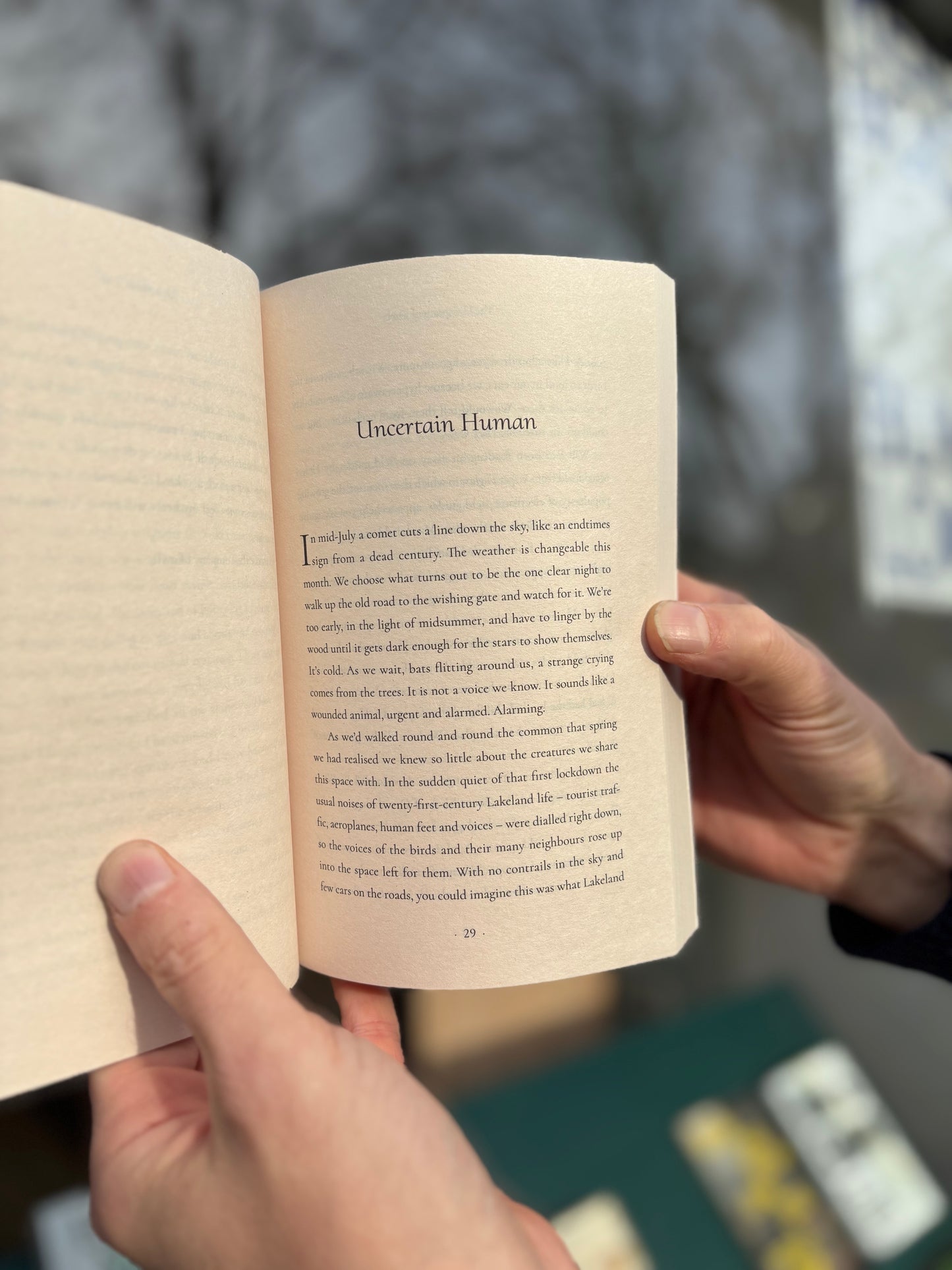 The Company of Owls - A Memoir