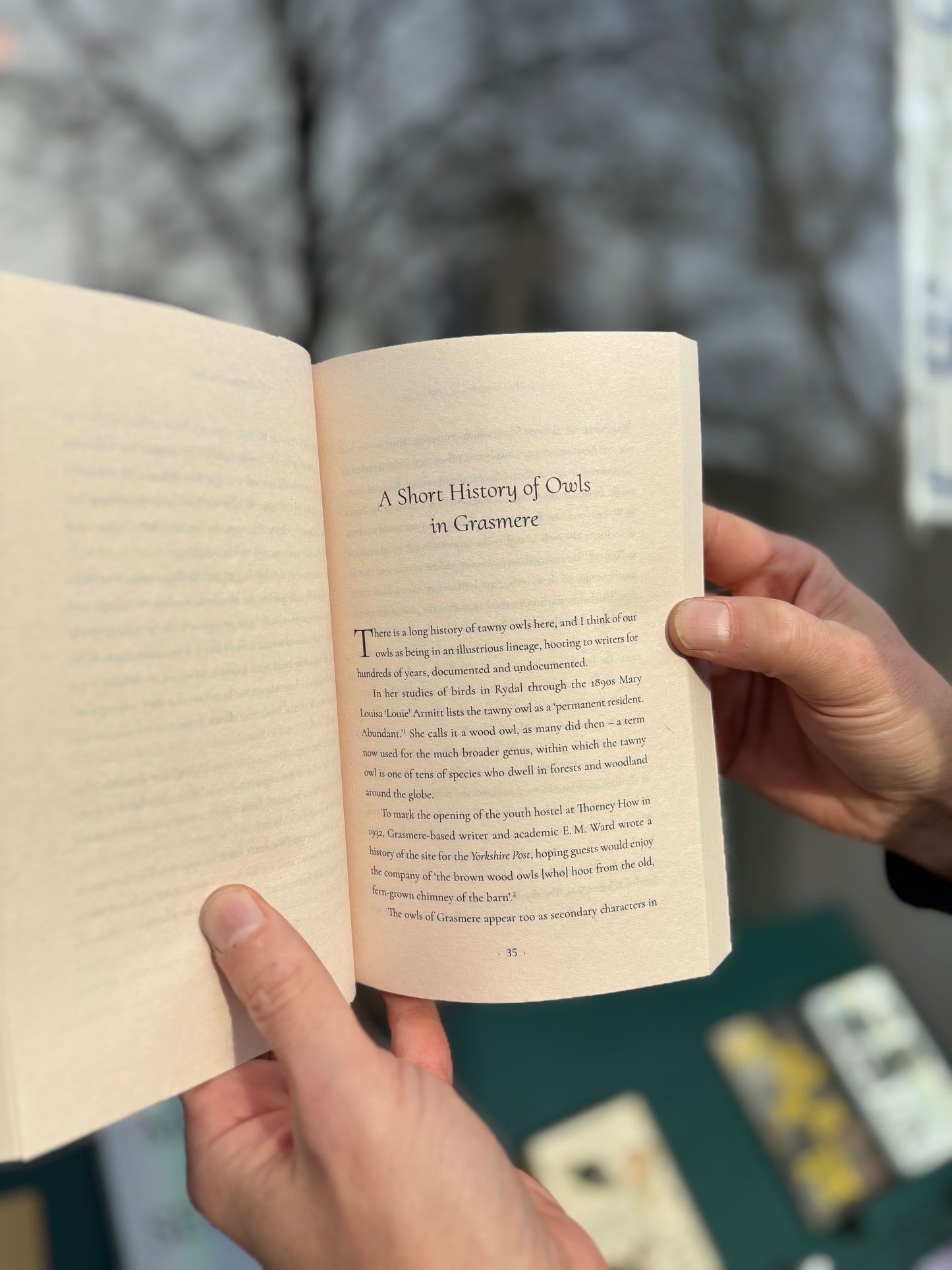 The Company of Owls - A Memoir