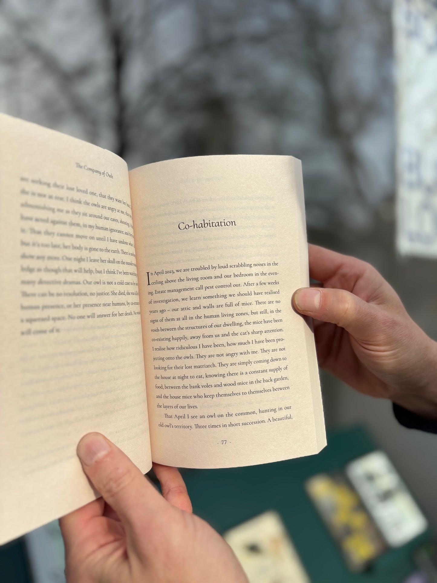 The Company of Owls - A Memoir