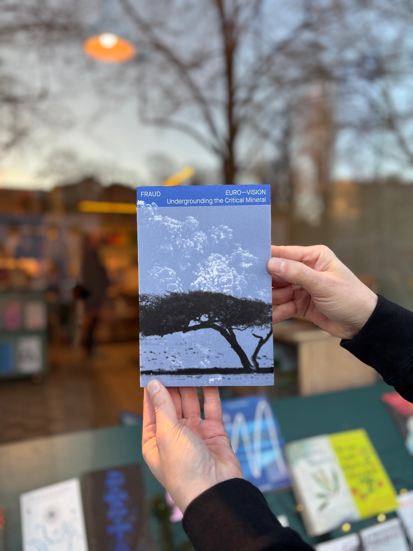 EURO-VISION Undergrounding the Critical Mineral