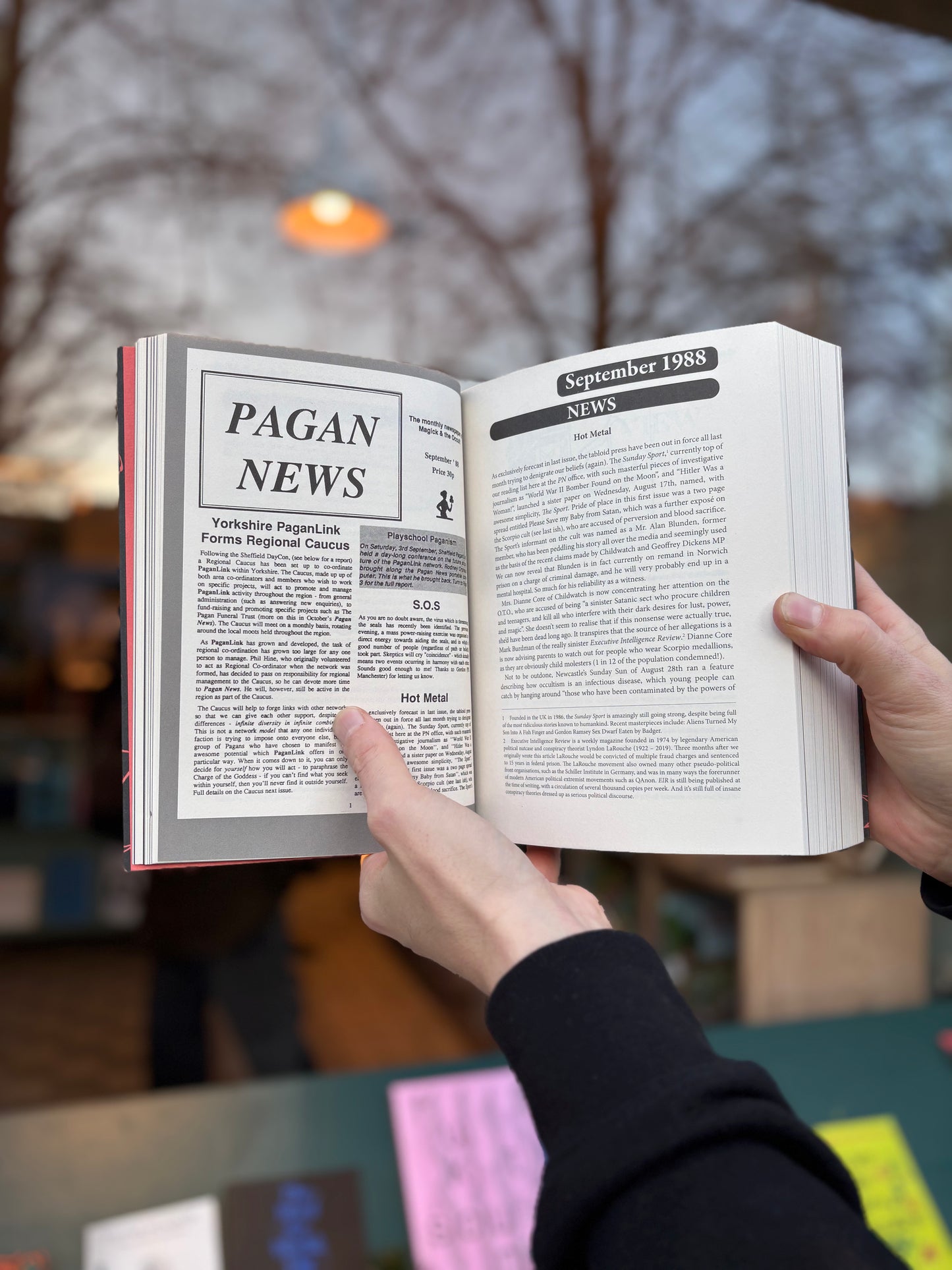 Delinquent Elementals - A Pagan News Anthology