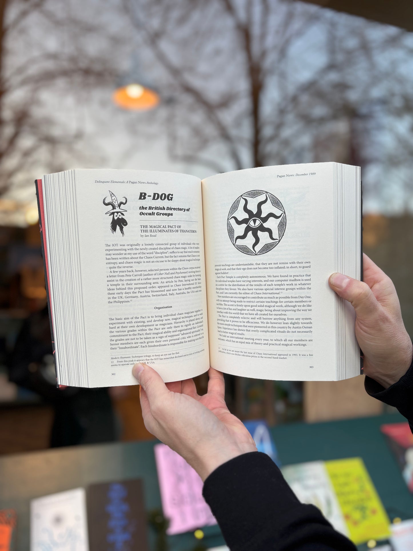 Delinquent Elementals - A Pagan News Anthology