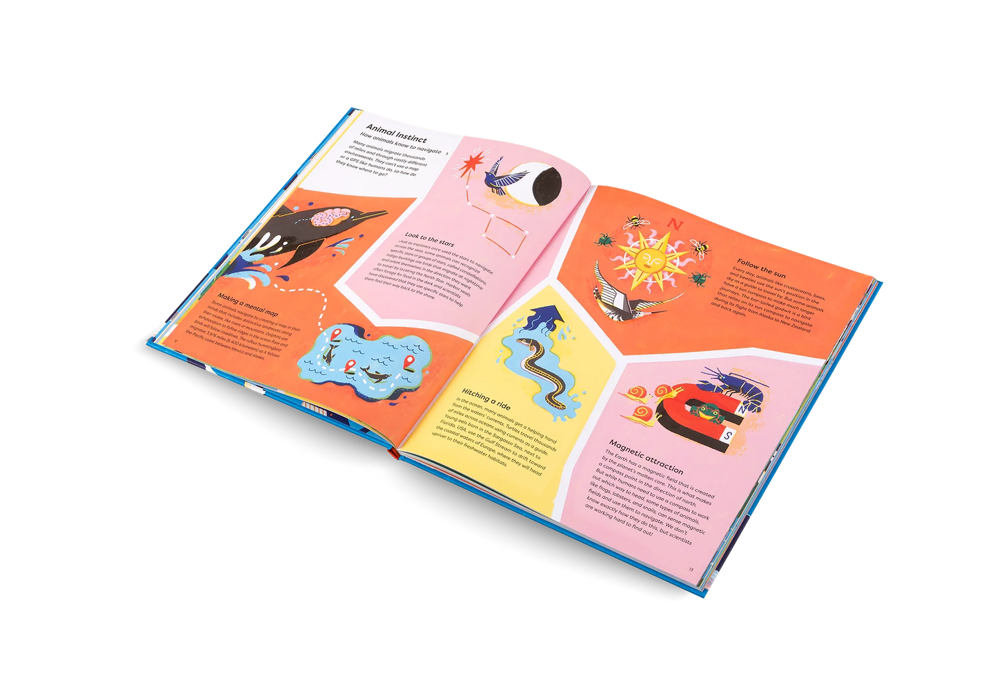 Keep On Moving - The Great Animal Migrations Large and Small