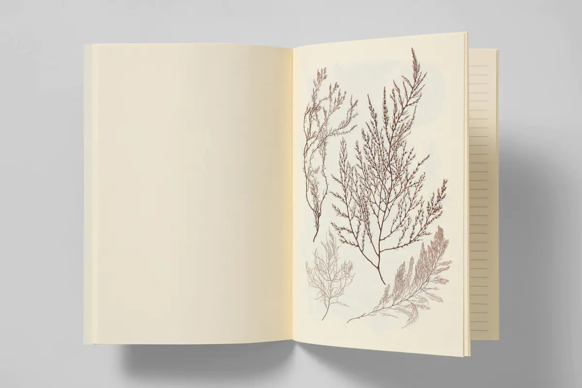 Notizbuch Reliefs - Japanese Algae
