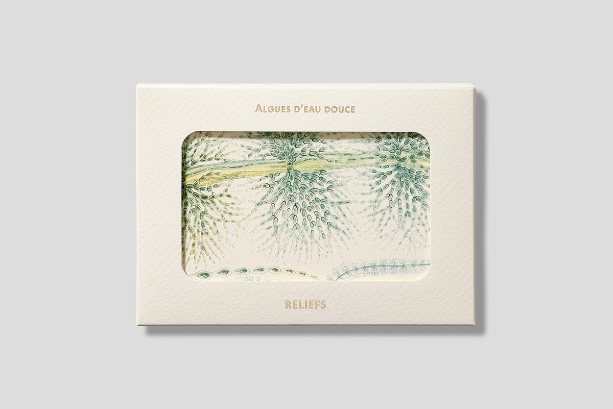 Postcards Reliefs - Fresh-Water Algae
