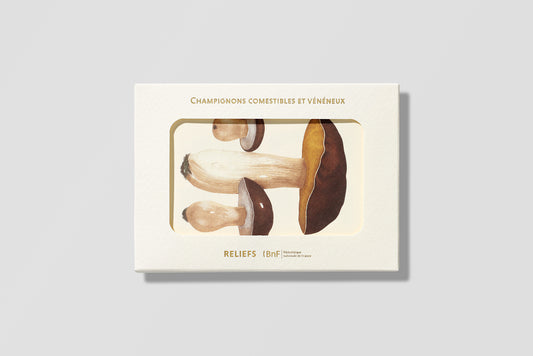 Postcards Reliefs - Edible and Poisonous Mushrooms Postcards
