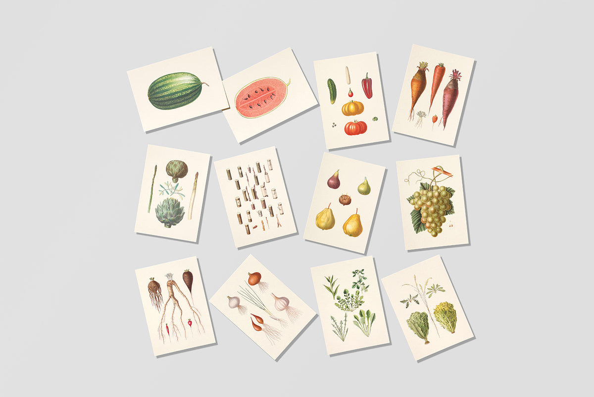 Postcards Reliefs - Vegetable Garden Postcards