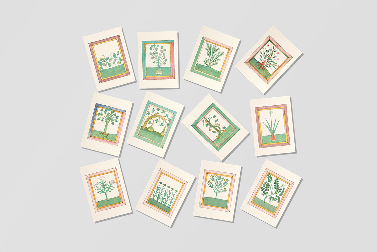 Postcards Reliefs - Book of Herbs