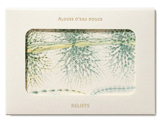Postcards Reliefs - Fresh-Water Algae