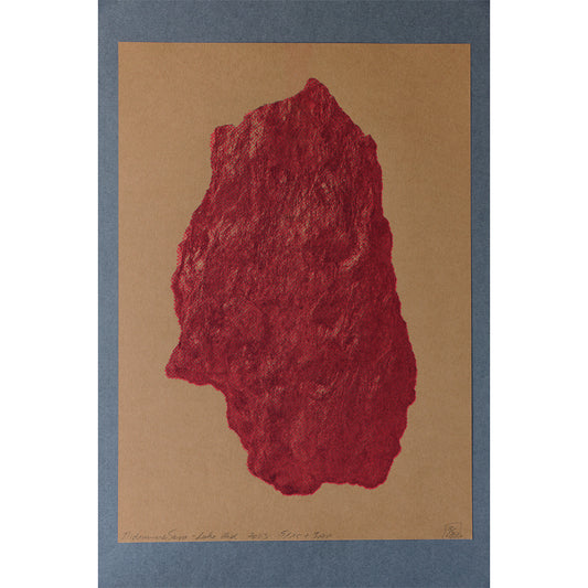 Chamber of Colours Riso Edition - Lake Red - Midsummer Sasso