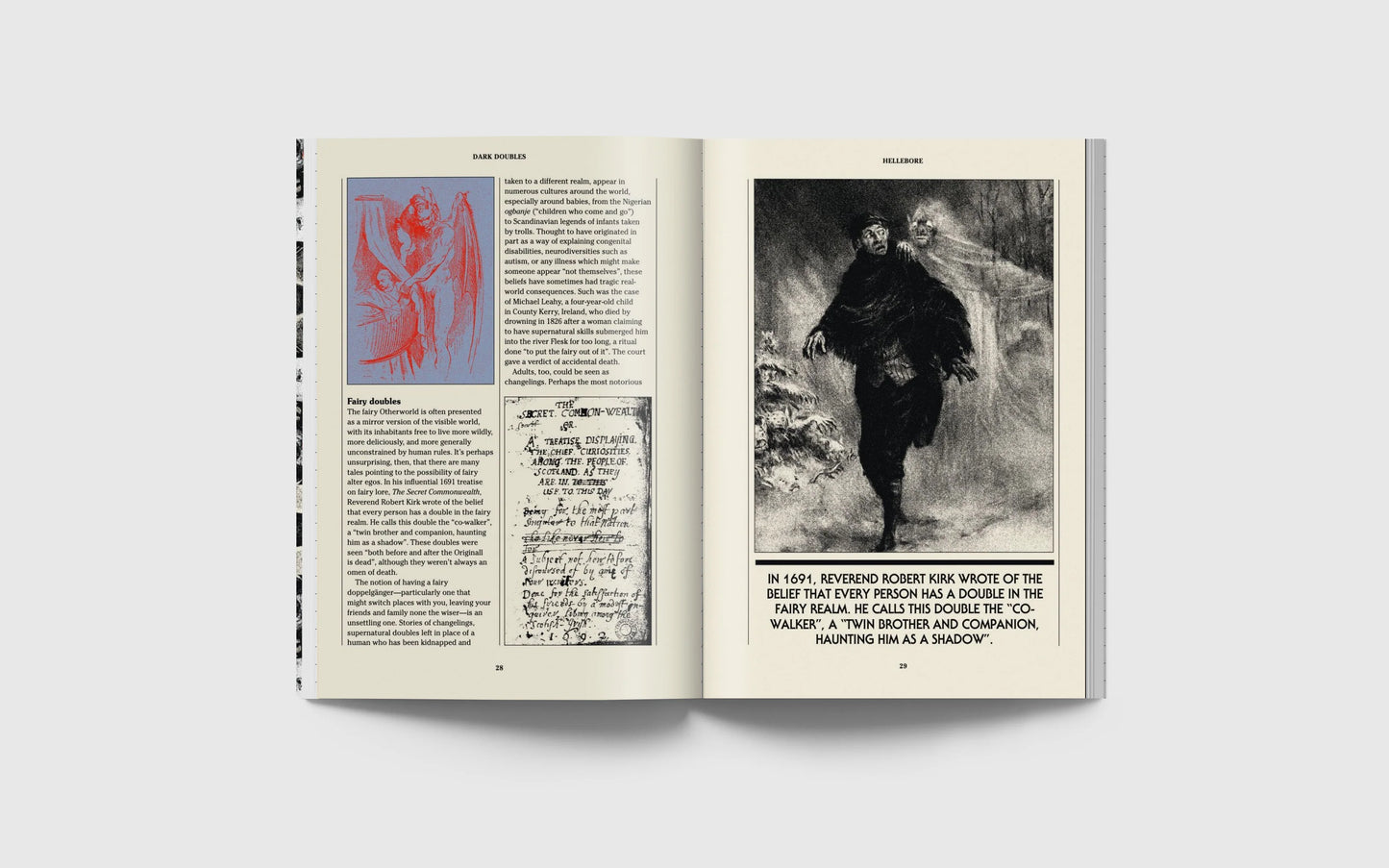 Hellebore #14: The Mirror Issue