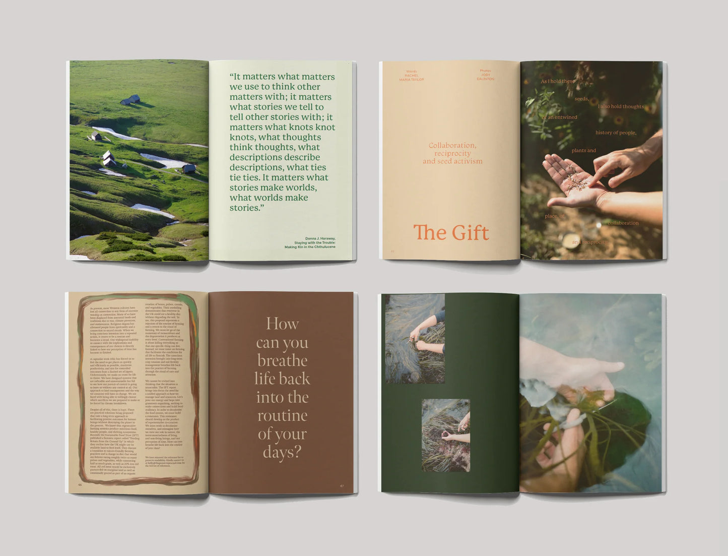 The Preserve Journal - Issue No 9