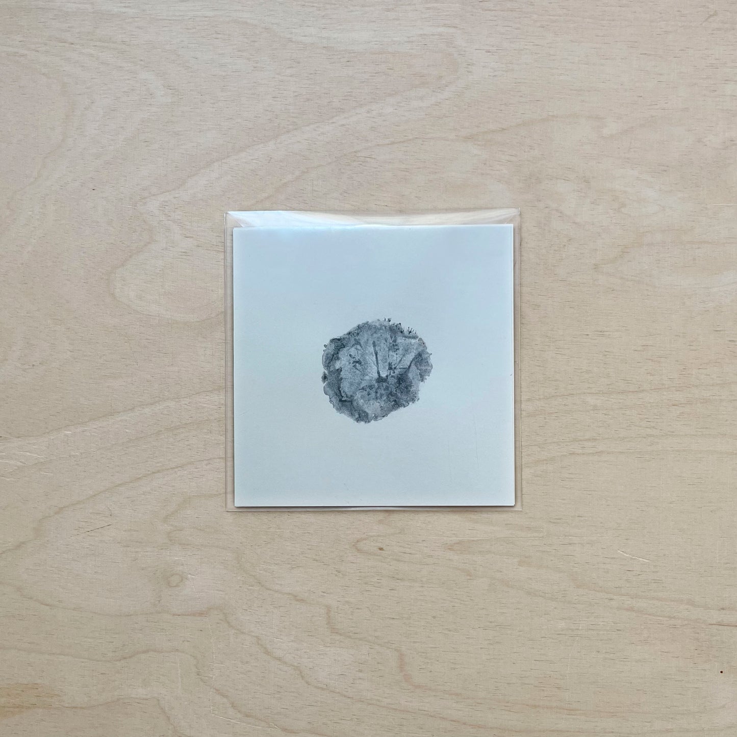 Clarice - River Bends Gently - CD