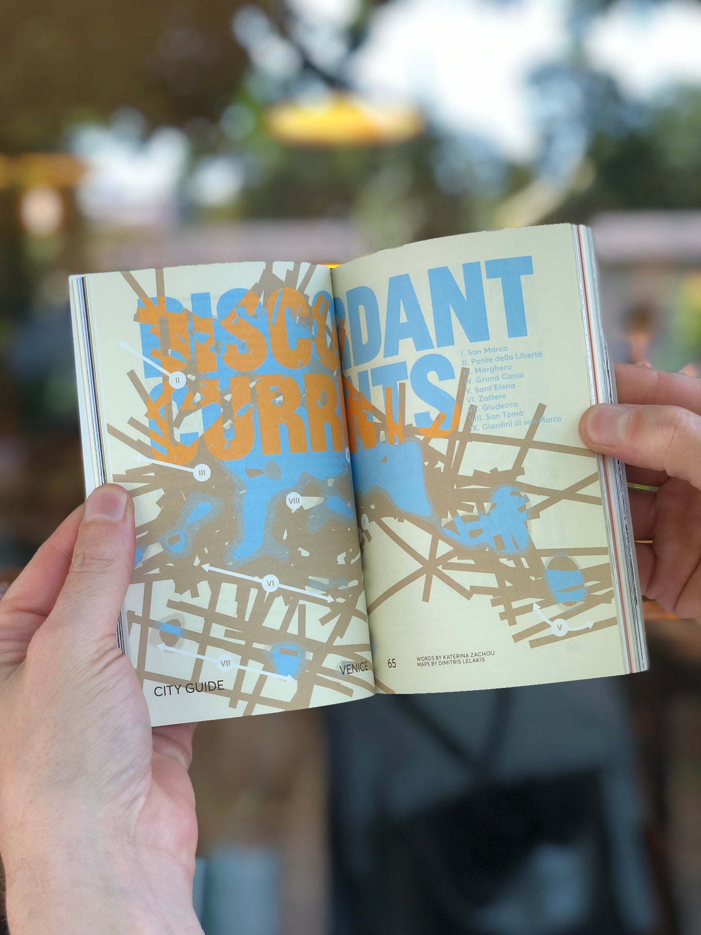 Desired Landscapes, Issue 08