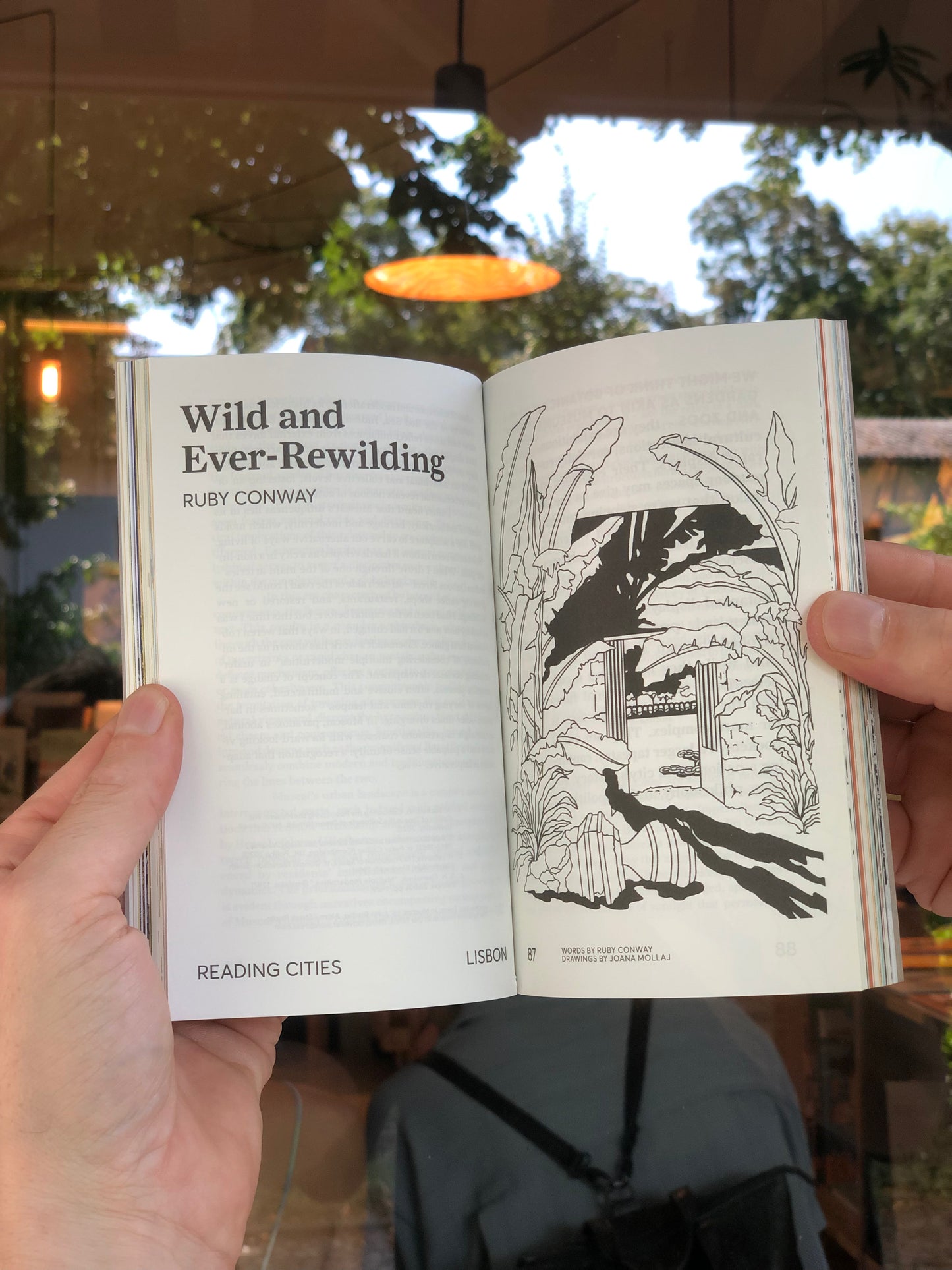 Desired Landscapes, Issue 08