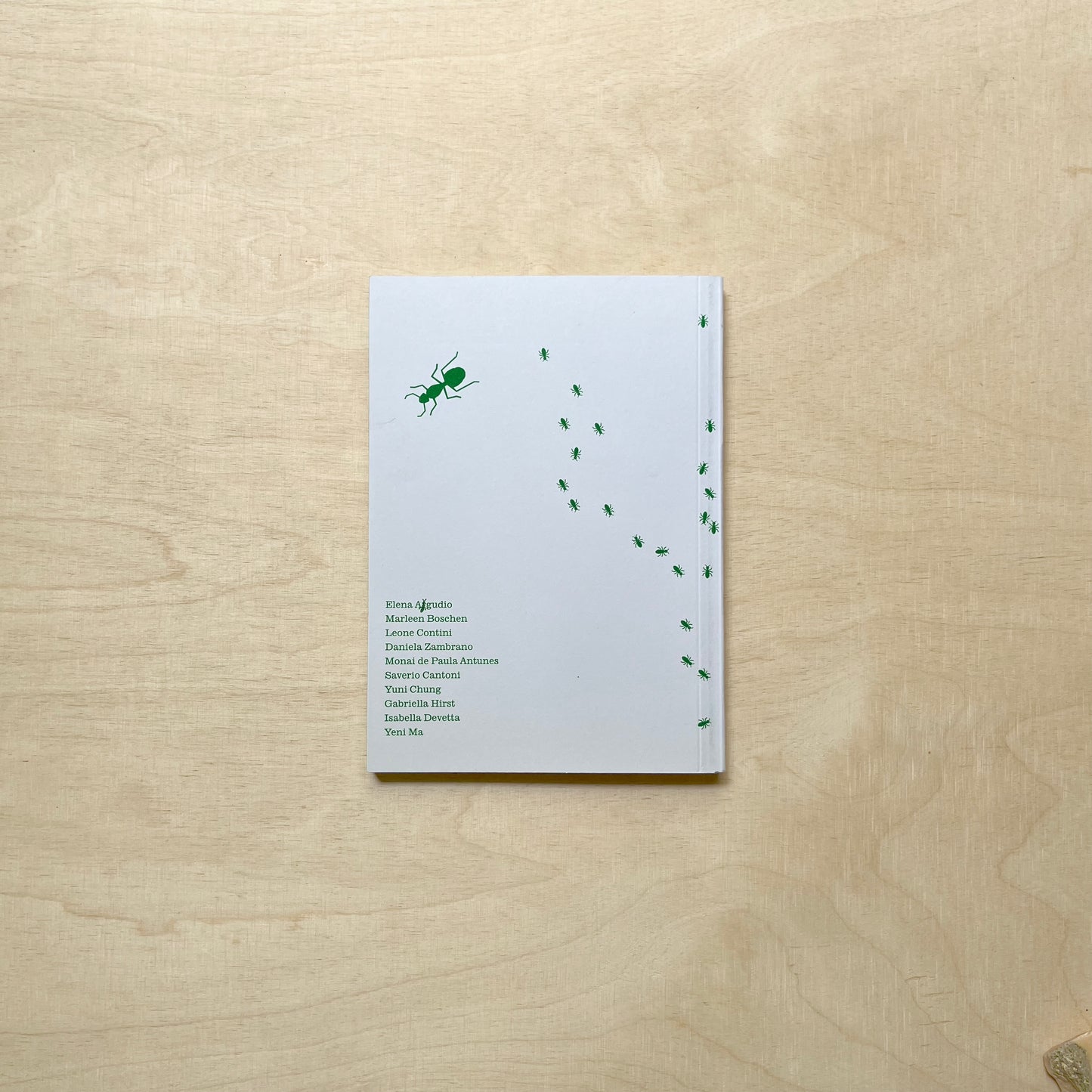 Testing Grounds / Seeding Worlds