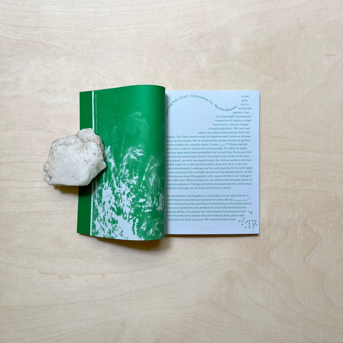 Testing Grounds / Seeding Worlds