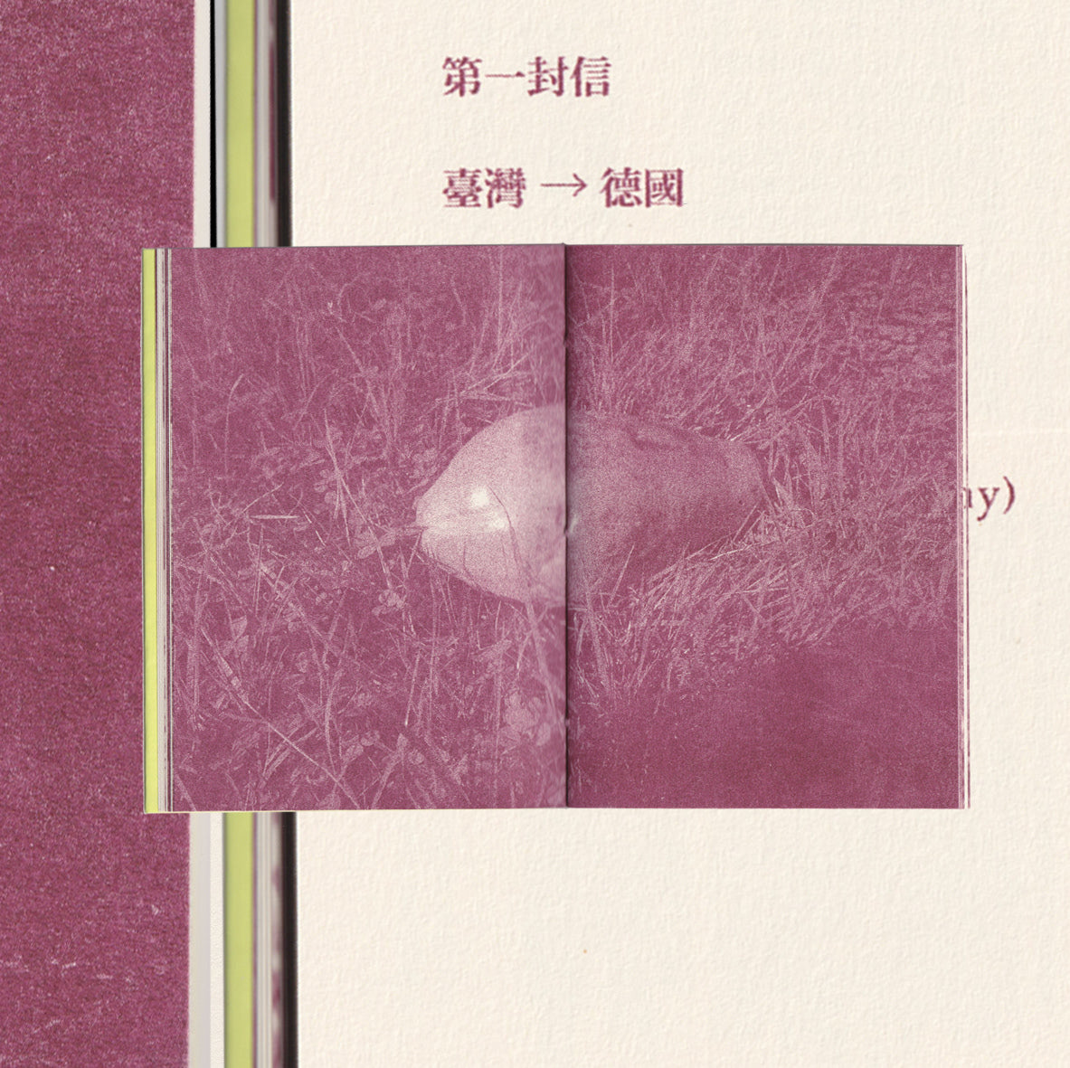 The Image Book of Nomad Papaya Bird