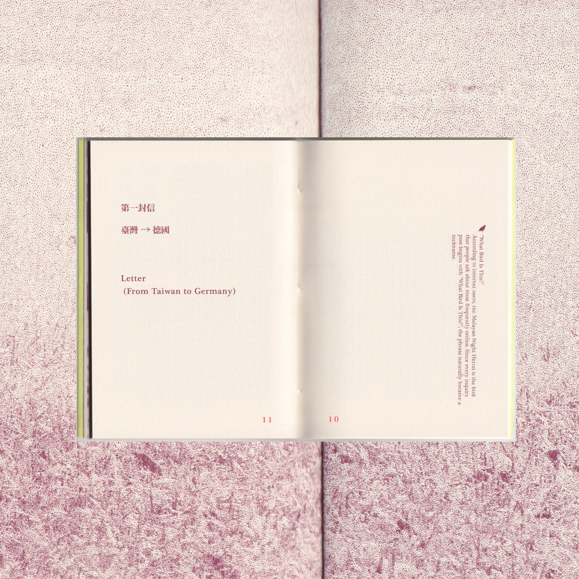 The Image Book of Nomad Papaya Bird
