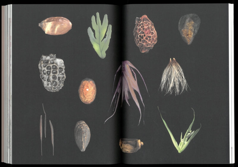 Seeds Reclaiming Roots, Sowing Futures