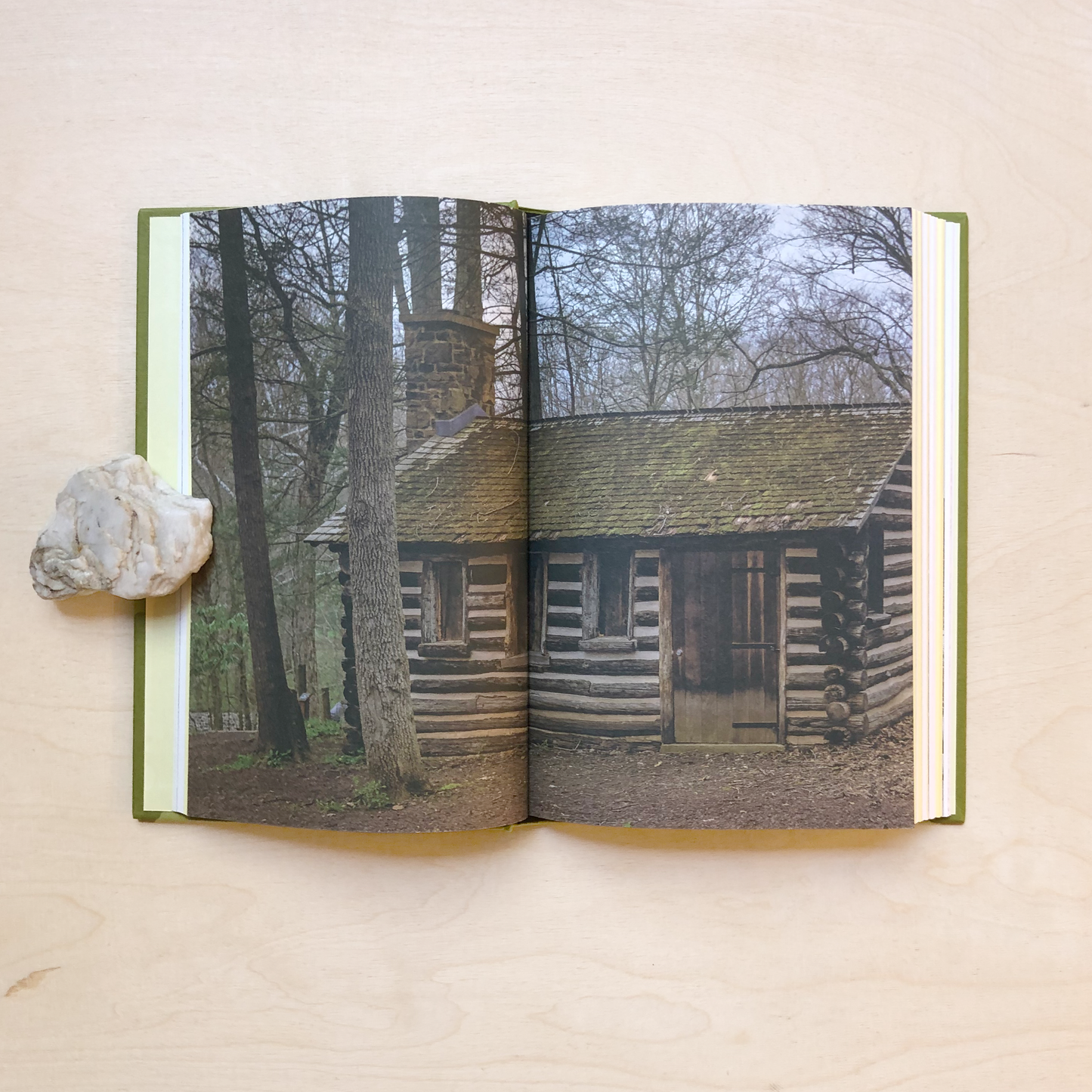 Cabin - How to Build a Retreat in the Wilderness and Learn to Live With Nature